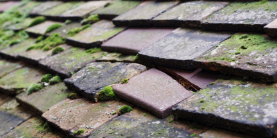 The Hyde roof repair costs